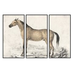 Картина DKD Home Decor Лошадь (180 x 4 x 120 cm) цена и информация | Настенные деревянные декорации | kaup24.ee
