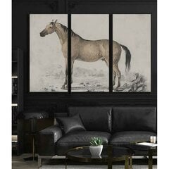 Картина DKD Home Decor Лошадь (180 x 4 x 120 cm) цена и информация | Картины, живопись | kaup24.ee