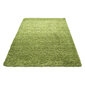 Vaip Ayyildiz LIFE green, 120X170 cm hind ja info | Vaibad | kaup24.ee