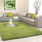 Vaip Ayyildiz LIFE green, 200X290 cm hind ja info | Vaibad | kaup24.ee