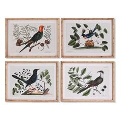 Картина DKD Home Decor птицы, 65 x 16.5 x 50.2 см, 4 шт. цена и информация | Картины, живопись | kaup24.ee