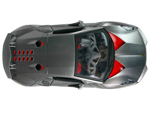 Спортивный автомобиль Lamborghini с дистанционным управлением, серый цена и информация | Игрушки для мальчиков | kaup24.ee