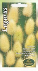 Jänesesaba 0,2 g цена и информация | Семена цветов | kaup24.ee