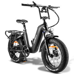 CARBON Elektrijalgratas FAFREES F20 Master, 20", must, 500W, 22,5Ah hind ja info | Elektrirattad | kaup24.ee