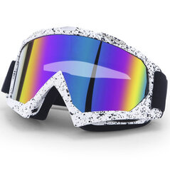 Зимние очки для катания на лыжах и сноуборде цена и информация | Suusaprillid | kaup24.ee