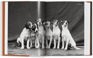Dog in Photography 1839-Today: 1839-Today Multilingual edition цена и информация | Книги по фотографии | kaup24.ee