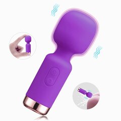 Vibraator Mini Massager Wand Livman E-50, lilla цена и информация | Вибраторы | kaup24.ee