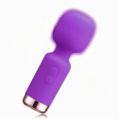 Vibraator Mini Massager Wand Livman E-50, lilla hind ja info | Vibraatorid | kaup24.ee