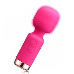 Vibraator Mini Massager Wand Livman E-50, roosa цена и информация | Вибраторы | kaup24.ee