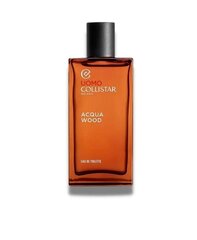 Tualettvesi Collistar Wood EDT meestele, 100 ml hind ja info | Meeste parfüümid | kaup24.ee