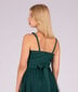 Naiste kleit Ferara, roheline hind ja info | Kleidid | kaup24.ee