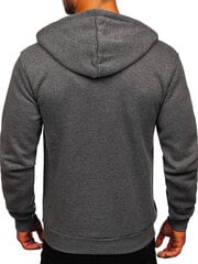 J.Style Džemprid Fleece Grey 68B2008-5 68B2008-5/M hind ja info | Meeste pusad | kaup24.ee