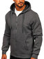 J.Style Džemprid Fleece Grey 68B2008-5 68B2008-5/M цена и информация | Meeste pusad | kaup24.ee