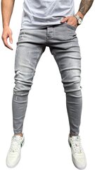 Джинсы для мужчин 2Y Premium B8456/K500, серые цена и информация | Мужские джинсы | kaup24.ee