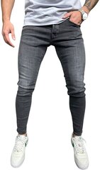 Джинсы для мужчин 2Y Premium RT9009/L207/38, серые цена и информация | Мужские джинсы | kaup24.ee