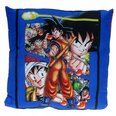 Dragon Ball Kodutarbed internetist