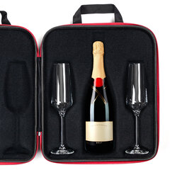Кейс для шампанского и 2 бокала для шампанского diVinto Avant, 180 мл цена и информация | Оригинальные кружки | kaup24.ee