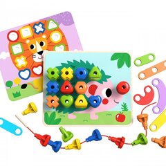 Многофункциональная доска с аксессуарами, Tooky Toy цена и информация | Развивающие игрушки и игры | kaup24.ee