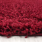 Vaip Ayyildiz LIFE red, 200X290 cm hind ja info | Vaibad | kaup24.ee