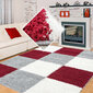 Vaip Ayyildiz LIFE red, 200X290 cm hind ja info | Vaibad | kaup24.ee