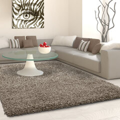 Vaip Ayyildiz LIFE taupe, 300x400 cm hind ja info | Vaibad | kaup24.ee