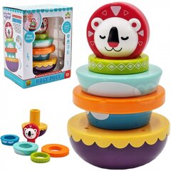 WOOPIE Sensory Toy Puzzle Pyramid Beebidele 6 tk. hind ja info | Imikute mänguasjad | kaup24.ee