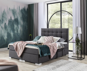 Кровать Inez 140X200 см, серый цвет цена и информация | Кровати | kaup24.ee