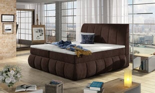 Кровать  Vincenzo, 160х200 см, коричневая цена и информация | Кровати | kaup24.ee