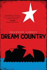 Dream Country цена и информация | Книги для подростков и молодежи | kaup24.ee