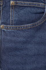 Teksapüksid meestele Lee 112345393, sinine цена и информация | Мужские джинсы | kaup24.ee