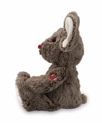 Плюшевая игрушка Мышка Kaloo Brown, K963528, 31 см цена и информация | Мягкие игрушки | kaup24.ee