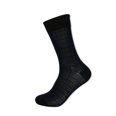 Мужские носки Bisoks 12345 синие цена и информация | Мужские носки | kaup24.ee