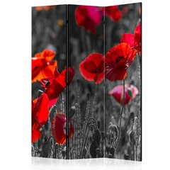 Ruumijaotur Red Poppies цена и информация | Мобильные стенки | kaup24.ee