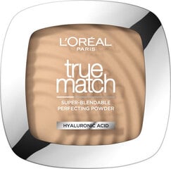 Kompaktpuuder L'Oreal True Match 9 g, N2 Vanilla hind ja info | L'Oréal Paris Kosmeetika, parfüümid | kaup24.ee