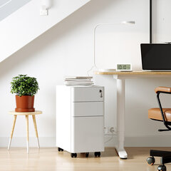 Офисный шкаф Vasagle белый цена и информация | Компьютерные, письменные столы | kaup24.ee