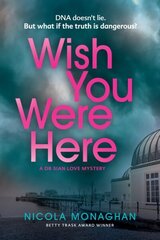 Wish You Were Here цена и информация | Фантастика, фэнтези | kaup24.ee