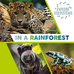 Explore Ecosystems: In a Rainforest Illustrated edition цена и информация | Книги для подростков и молодежи | kaup24.ee