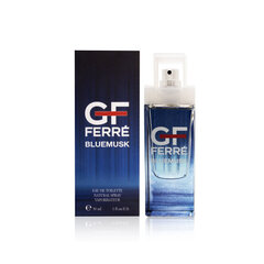 Tualettvesi Gianfranco Ferre GF Ferre Bluemusk EDT meestele/naistele 30 ml цена и информация | Женские духи | kaup24.ee