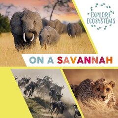 Explore Ecosystems: On a Savannah Illustrated edition hind ja info | Noortekirjandus | kaup24.ee