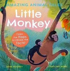 Amazing Animal Tales: Little Monkey 1 цена и информация | Книги для малышей | kaup24.ee