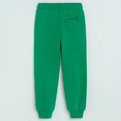 Cool Club püksid poistele CCB2710871, roheline hind ja info | Poiste püksid | kaup24.ee