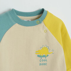 Свитер Cool Club для мальчика CCB2503351, разные цвета цена и информация | Свитеры, жилетки, пиджаки для мальчиков | kaup24.ee