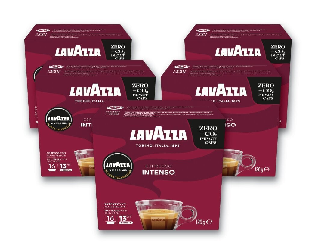 Kohvikapslid Lavazza A Modo Mio Intenso, 600g, 80 tk hind