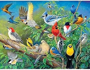 Алмазная мозаика на подрамнике 20x30 "Райские птицы" цена и информация | Алмазная мозаика | kaup24.ee