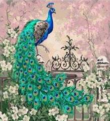 Teemantmosaiik aluskarkassil 30x30 "Peacock" цена и информация | Алмазная мозаика | kaup24.ee