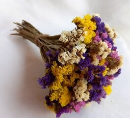 Kuivad lilled, värvilised hind ja info | Floristlika materjalid | kaup24.ee