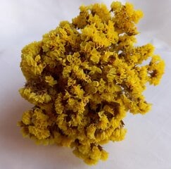 Kuivad õied, kollased hind ja info | Floristlika materjalid | kaup24.ee
