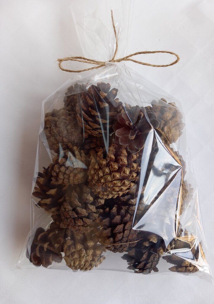 Looduslikud männikäbid kotis, 30 tk hind ja info | Floristlika materjalid | kaup24.ee