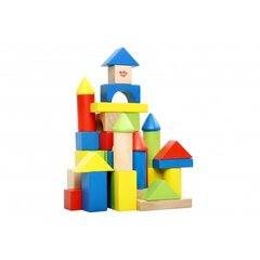 Деревянные кубики, 50 шт цена и информация | Игрушки для малышей | kaup24.ee