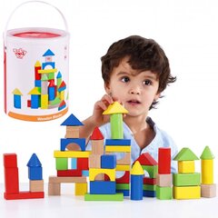 Puitklotsid 50 tk hind ja info | Imikute mänguasjad | kaup24.ee